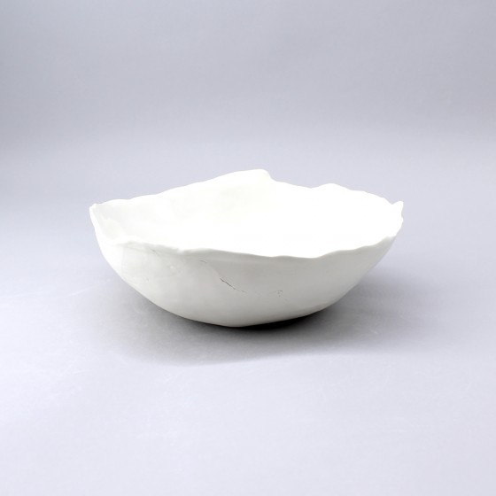 Salad porcelain bowl